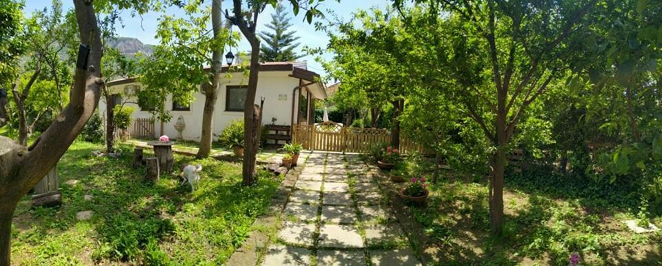 Bed and Breakfast Villino L'Aranceto Sorrentino Meta Exterior foto