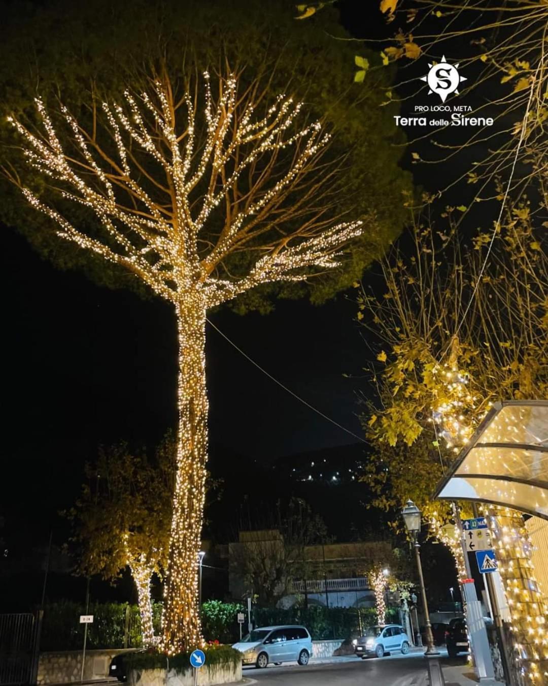 Bed and Breakfast Villino L'Aranceto Sorrentino Meta Exterior foto