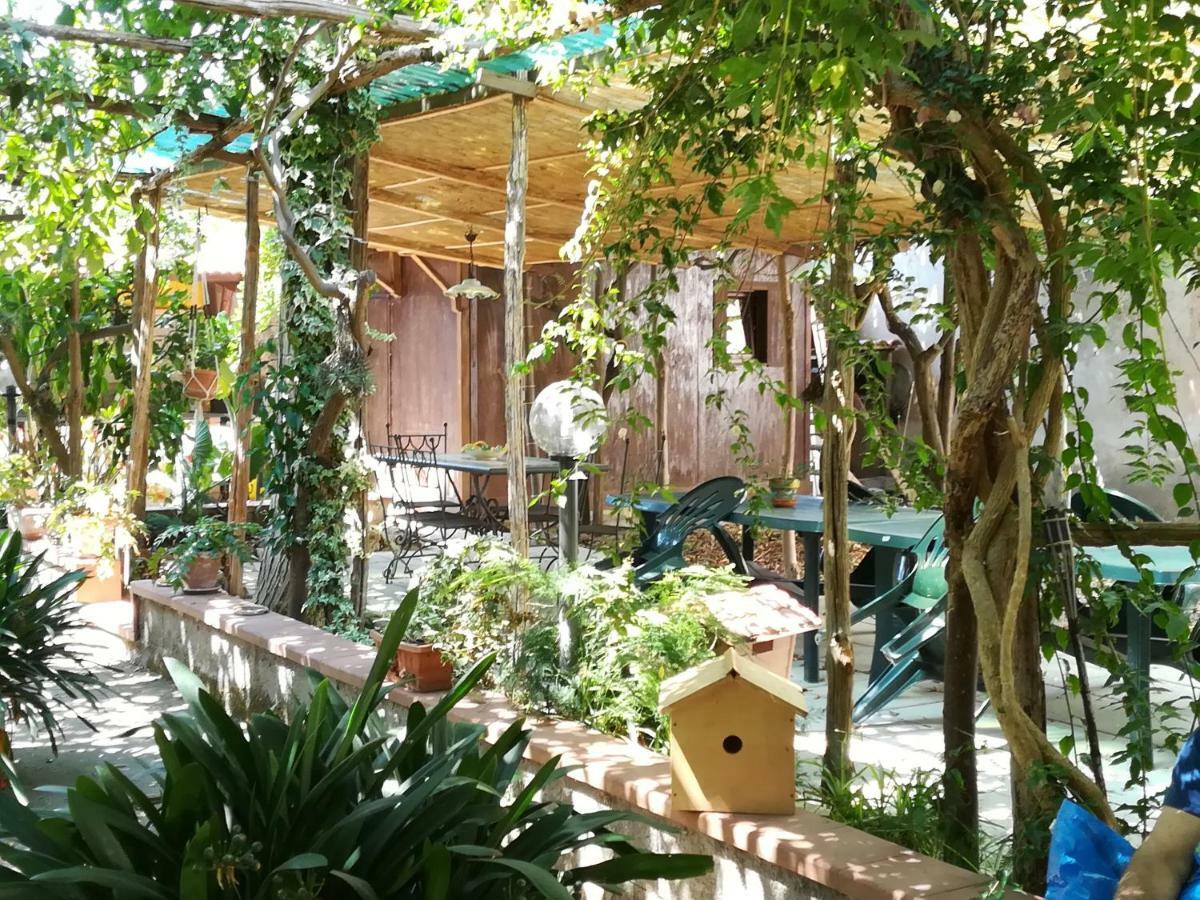 Bed and Breakfast Villino L'Aranceto Sorrentino Meta Exterior foto