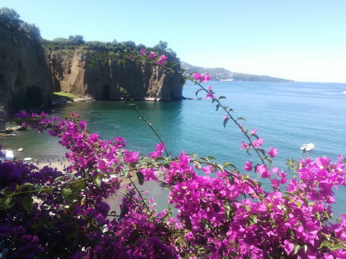 Bed and Breakfast Villino L'Aranceto Sorrentino Meta Exterior foto